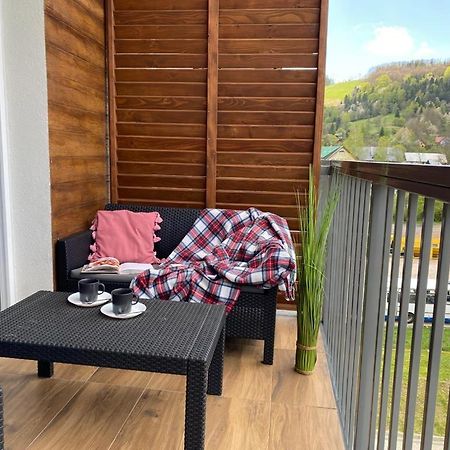 Appartement Bieszczady Apartament "Cicha Woda" à Ustrzyki Dolne Extérieur photo
