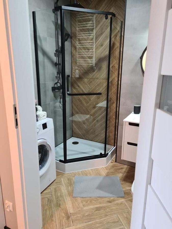 Appartement Bieszczady Apartament "Cicha Woda" à Ustrzyki Dolne Extérieur photo