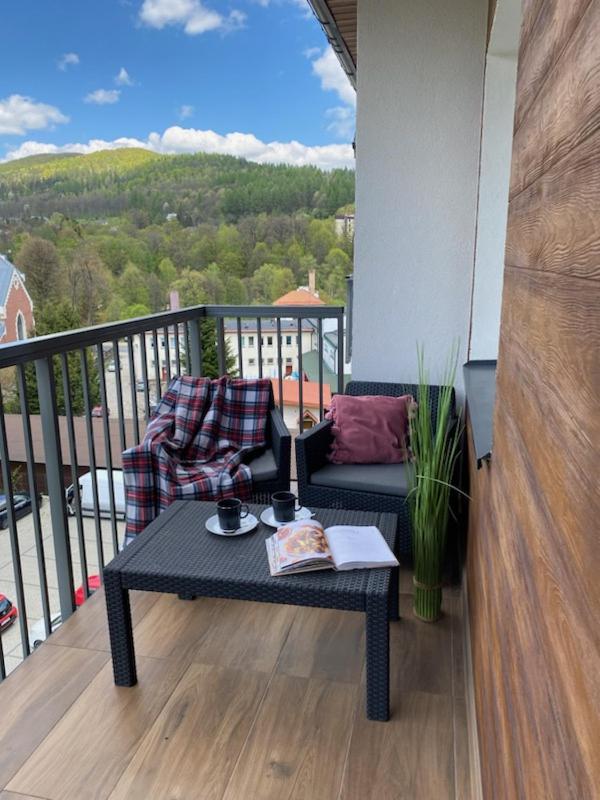 Appartement Bieszczady Apartament "Cicha Woda" à Ustrzyki Dolne Extérieur photo